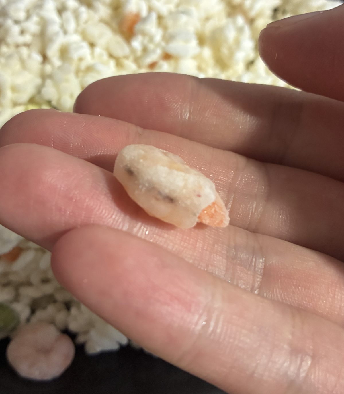 ピラフから取り出したえびを指でつまんだところ。指の第一関節ほどの大きさで、背中に黒い線が残っている
