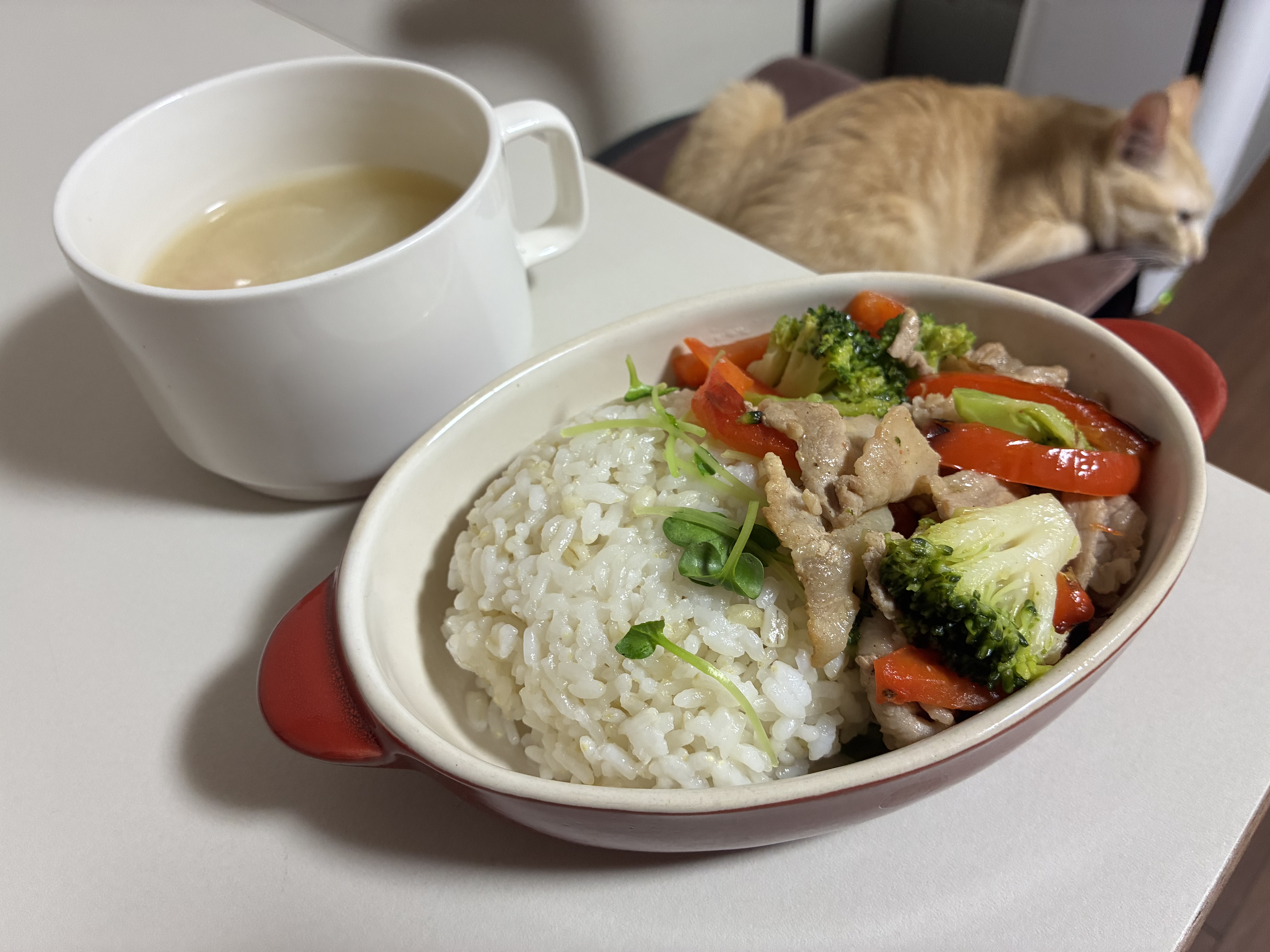 完成した豚カルビ丼とスープ。野菜が少なかったのでブロッコリーとパプリカを追加している